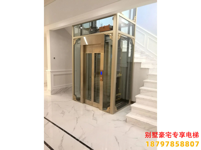 麻栗坡县现代家装观光别墅电梯