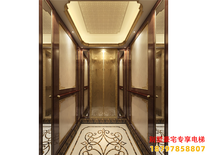 望奎县流行豪宅电梯装修